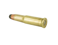 .25-20 Winchester